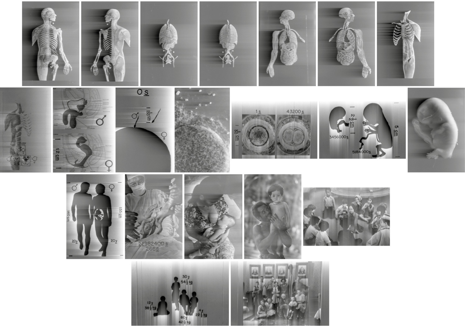 http://problemata.huma-num.fr/omeka_beta/files/large/2081/planches_horizontales_images_22.jpg