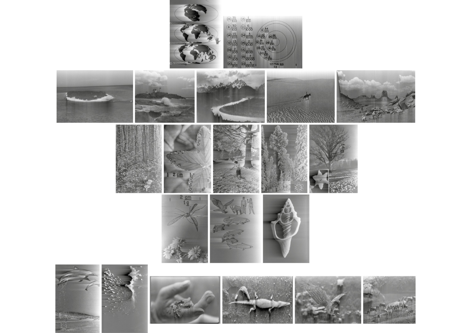http://problemata.huma-num.fr/omeka_beta/files/large/2081/planches_horizontales_images_23.jpg